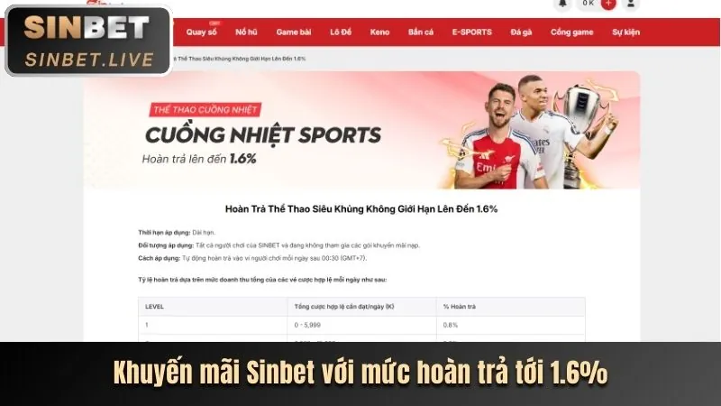 Hoàn trả new88 bet